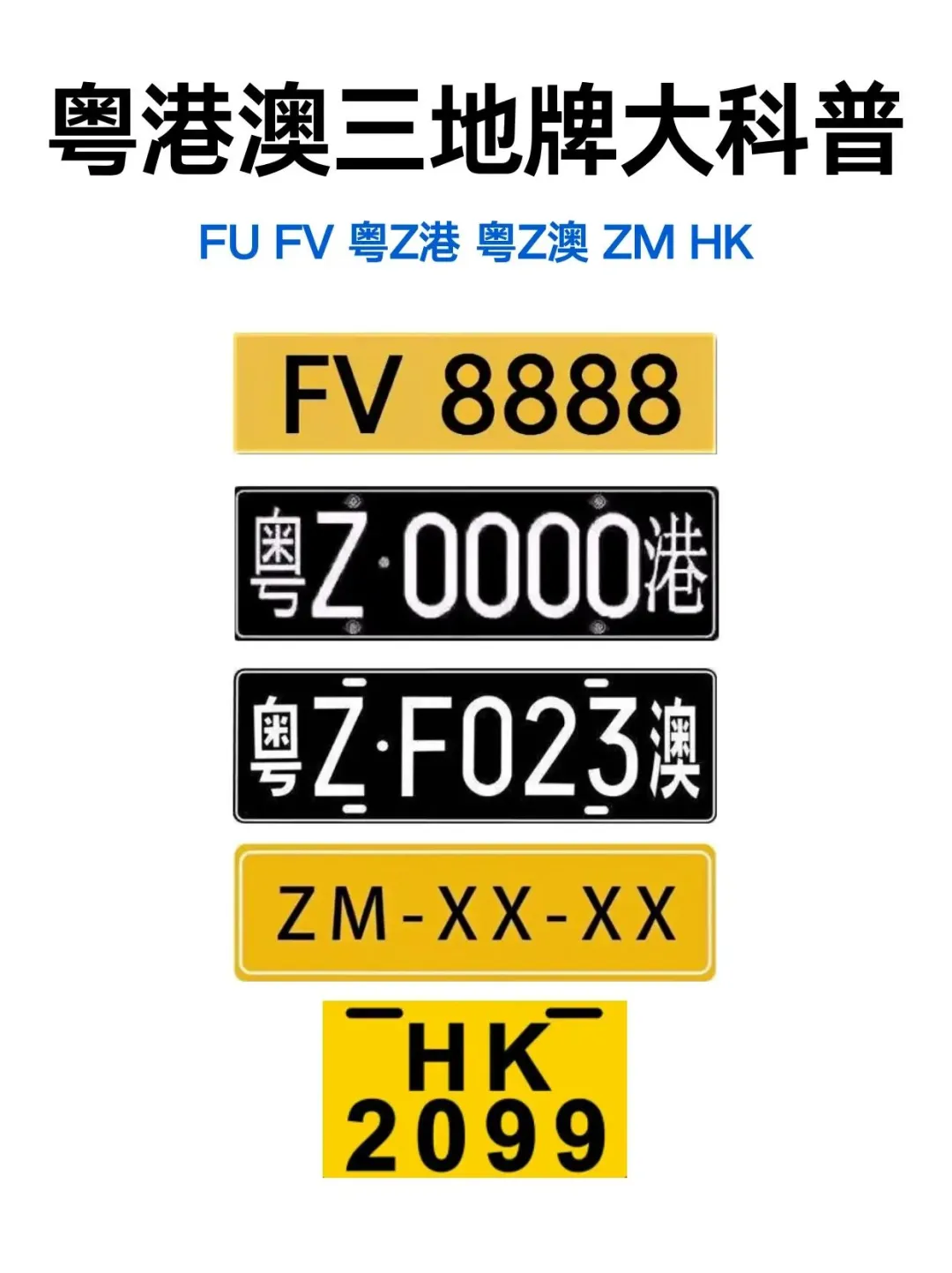 粤港两地车牌（FV和粤Z）是粤港澳大湾区融合的独特标识